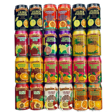 Hawaiian Sun Premium Tropical Juice Drink Party Bundle of 10 Assorted Flavors (24 Cans Total) - SET OF 3