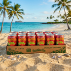 Hawaiian Sun Luau Punch Drink, Tropical Fruit Blend, 24-Pack 11.5oz Cans