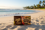 Hawaiian Host Dark Chocolate Covered Macadamia Nuts (3 Boxes) — ✈️ Arrives in 2 Days FREE