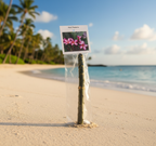 Authentic Hawaiian Pink Plumeria Plant Cutting - Large 9-12" Frangipani from the Big Island