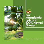 Hawaiian Macadamia Nut Co. Premium Whole Kernel Nuts, Dry Roasted Sea Salt, 20 oz