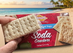 Diamond Bakery Lightly Salted Tops Hawaiian Soda Crackers – Authentic 9.5 oz Island-Baked Tray