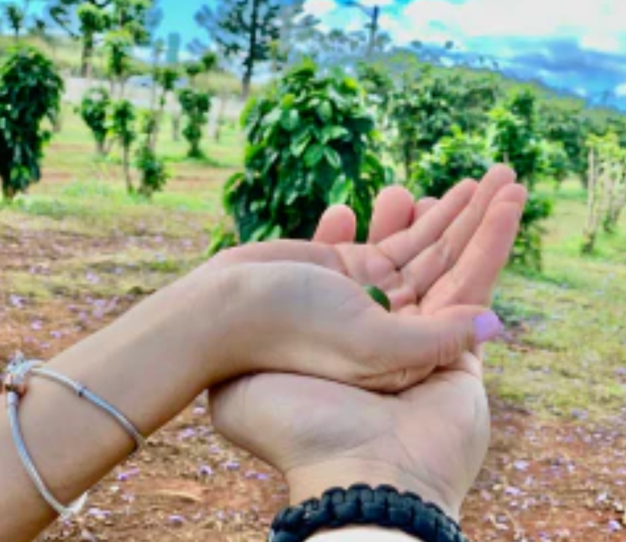 AMO family — from service to aloha